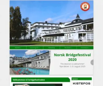 Bridgefestival.no(Bridgefestival) Screenshot