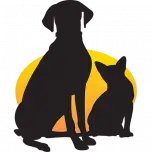 BridgeviewVet.com Favicon