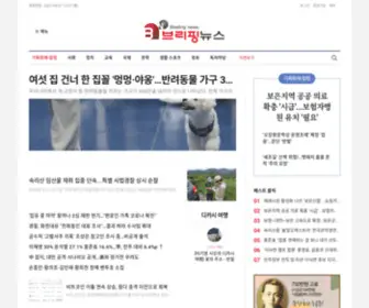 Briefingnews.kr(브리핑) Screenshot