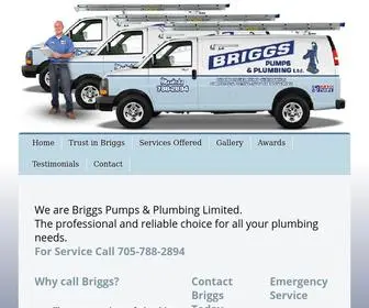 Briggsplumbing.ca(Briggs Pumps & Plumbing Ltd) Screenshot