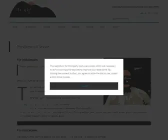 Brighthillgroup.com(Problems I Solve) Screenshot