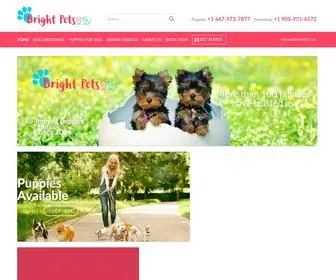 Brightpets.ca(Bright pets) Screenshot