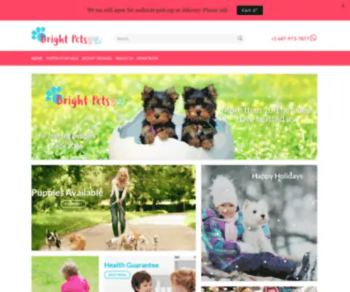 Brightpets.com(Owning a Dog) Screenshot
