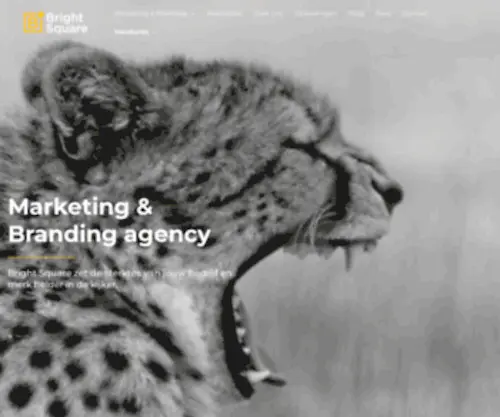 Brightsquare.be(Marketing & branding agency) Screenshot