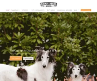 Brindleberrypetphoto.com(Photography) Screenshot