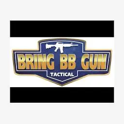 Bringbbgun.com Favicon