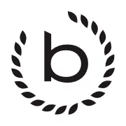 Brinkmann-Gruppe.com Logo