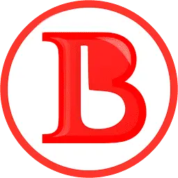 Briquettebazaar.com Favicon