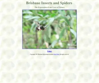 Brisbaneinsects.com(Brisbaneinsects) Screenshot