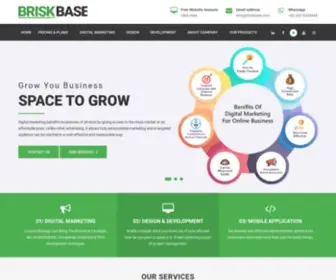 Briskbase.com(A Digital Marketing & Web Design Agency) Screenshot