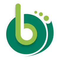 Briskdevelopers.com Logo