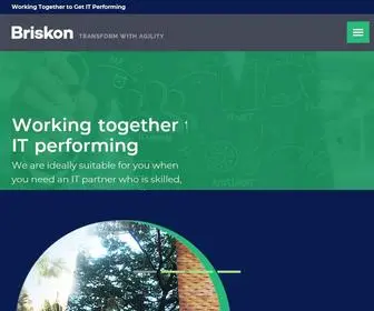 Briskon.com(Digital Marketing Agency) Screenshot