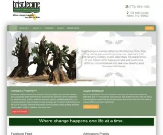 Bristleconereno.com(Drug Rehabilitation Center Reno) Screenshot