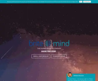 Britemind.io(Trainings and consulting services) Screenshot