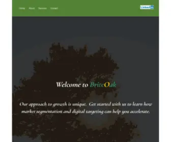 Briteoak.com(Business Development and Digital Targeting) Screenshot