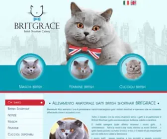 Britgrace-Cat.com(Chi siamo) Screenshot