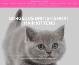 British-Shorthair-Kitten.com(British Pacific Cattery) Screenshot