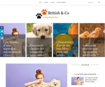 Britishandco.com(British & Co) Screenshot