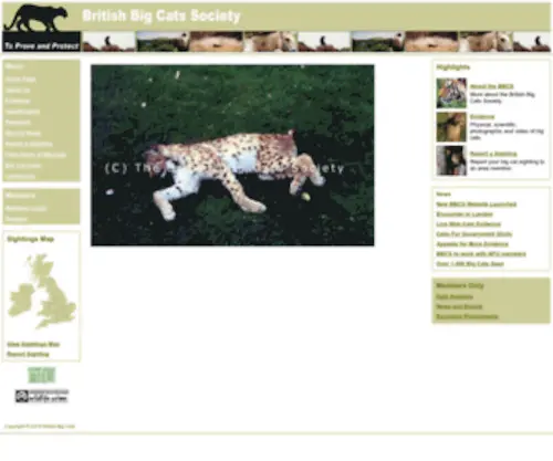 Britishbigcats.org(British Big Cats) Screenshot