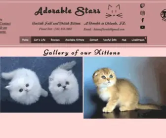 Britishscottishkittens.com(British/Scottish Kittens For Sale) Screenshot