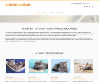 Britishshorthair.ca(British shorthair kitten for sale from Catzilla in Vancouver) Screenshot