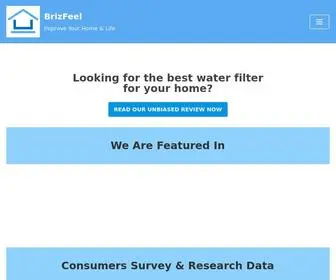 BrizFeel.com(Improve Your Life & Home with Consumer Resources) Screenshot