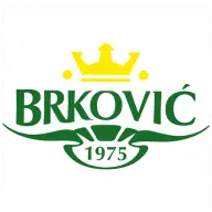 Brkovic.rs Favicon