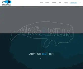 BRNDRM.com(Brandarium) Screenshot