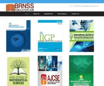 BRNSspublicationhub.org(BRNSspublicationhub) Screenshot