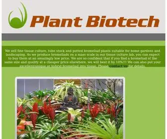 Bromeliads.net.au(Buy bromeliad plants online) Screenshot