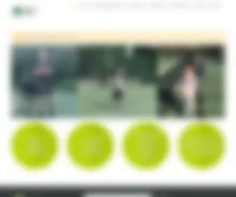 Brooklinetennis.com(Brookline Tennis Academy) Screenshot