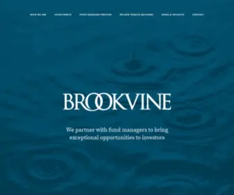 Brookvine.com.au(Standout investment opportunities) Screenshot