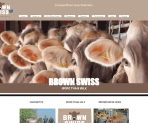 Brown-Swiss.org(Brown Swiss l Braunvieh) Screenshot