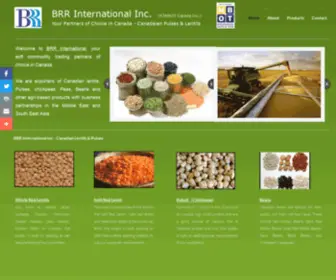 Brrinternational.com(Brr international Inc) Screenshot