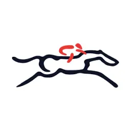 BRS.org.uk Favicon