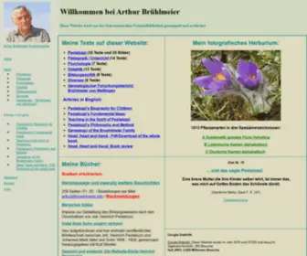 Bruehlmeier.info(Meine Themen) Screenshot