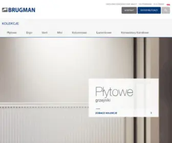 Brugman.pl(Brugman) Screenshot