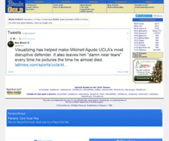 Bruingold.com(Bruin Gold) Screenshot