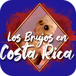 Brujosencostarica.com Favicon
