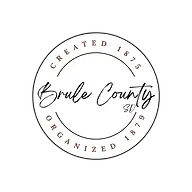 Brulecounty.org Favicon