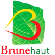 Brunehaut.be Favicon