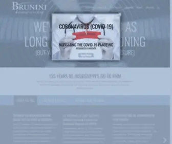 Brunini.com(Brunini Law) Screenshot