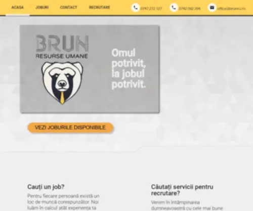 Brunru.ro(Resurse umane) Screenshot