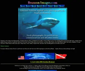 Brunsonimages.com(Underwater photography of great white sharks) Screenshot