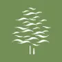 Brunswickforest.com Favicon