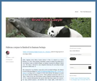 Bruteforcelawyer.com(Bruteforcelawyer) Screenshot