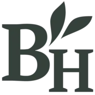 Bruunshave.dk Favicon