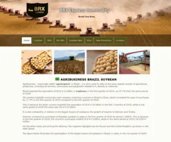 BRxsoybean.com(SoyBean Exporter BRX Express agribusiness export from Brazil to the World. We are a company) Screenshot