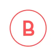 BRynaarflot.com Logo