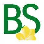 BS-AAchen.de Favicon